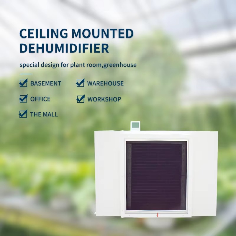 Large 480L Air Dehumidifier fo - Air Compressor reseña y precio